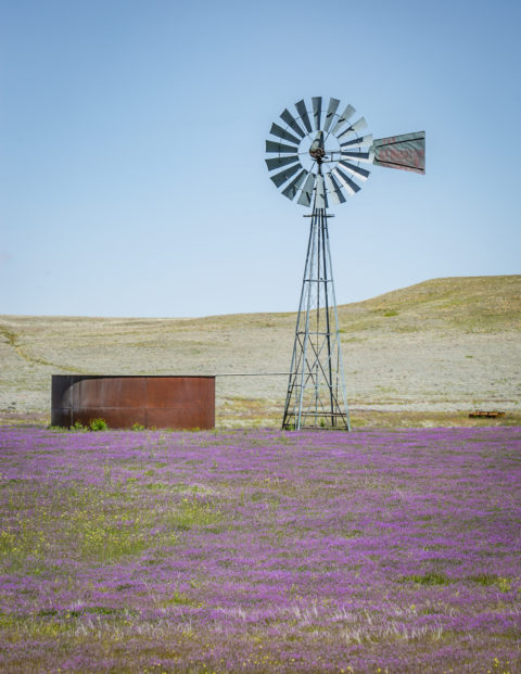 About the Town of Chino Valley, Arizona - Discover Chino Valley