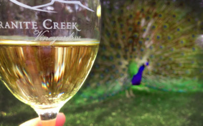 Granite Creek Vineyards is Under New Ownership and they are Turning up the Music!