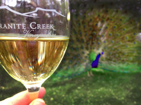 Granite Creek Vineyards is Under New Ownership and they are Turning up the Music!